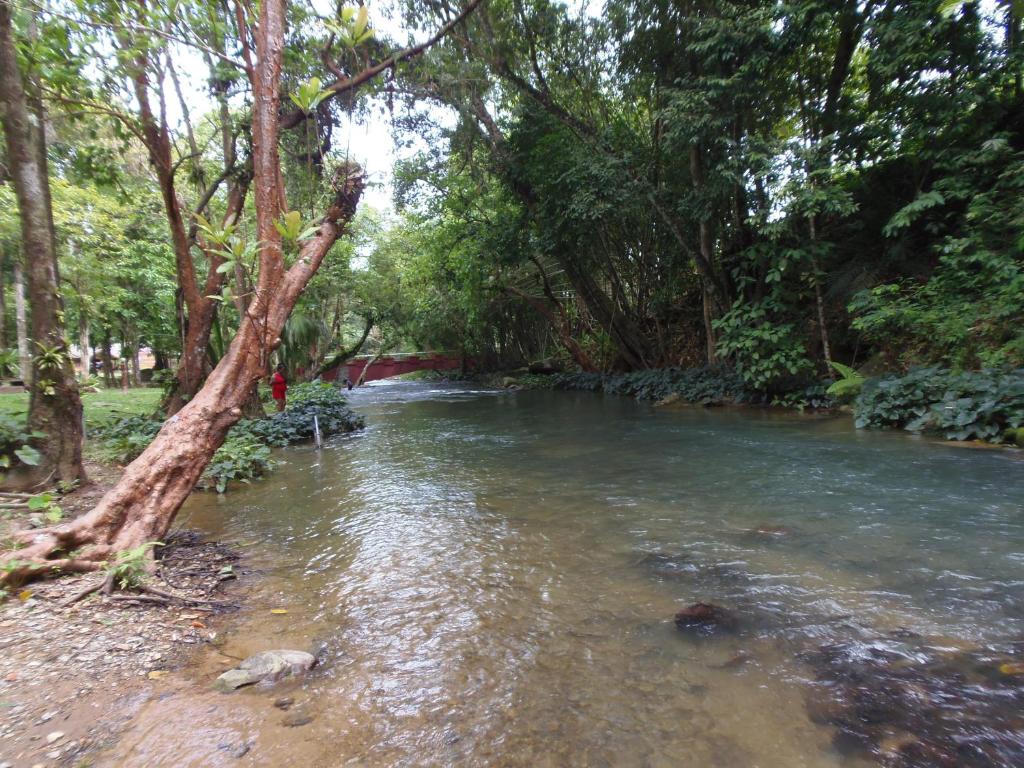 Surrounding environment