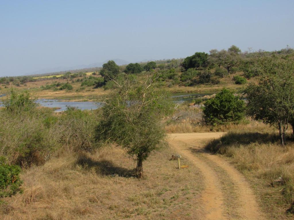 Kruger River View photo