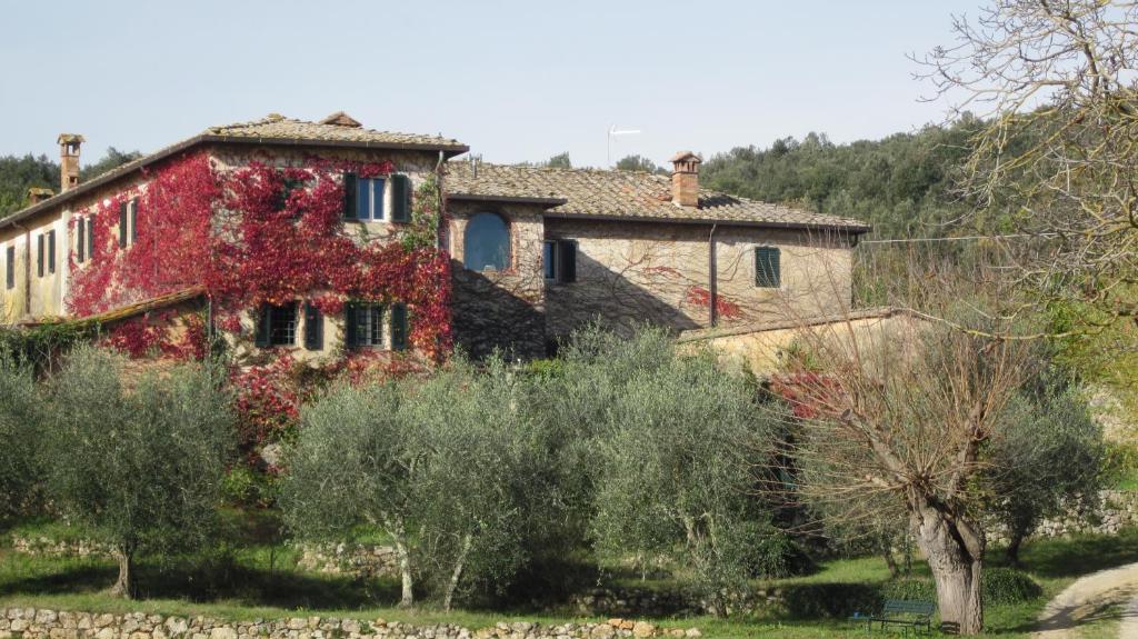 La Locaia - 5