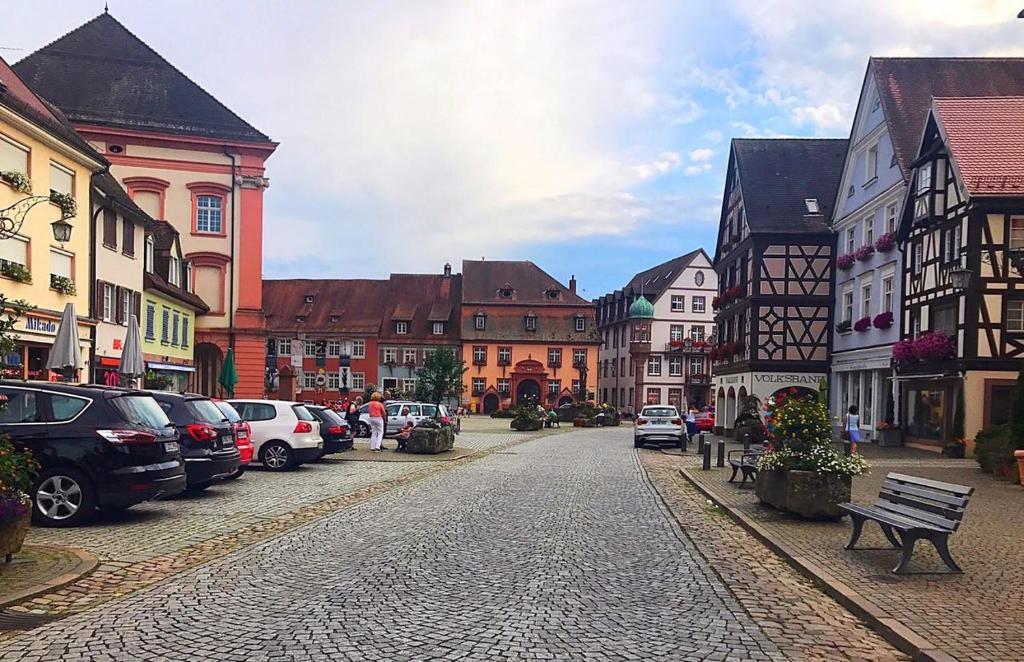 Schwarzwald Home nahe Europapark Rust — Hotel in Gengenbach