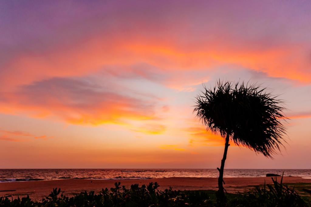 Red Parrot Beach Villa photo