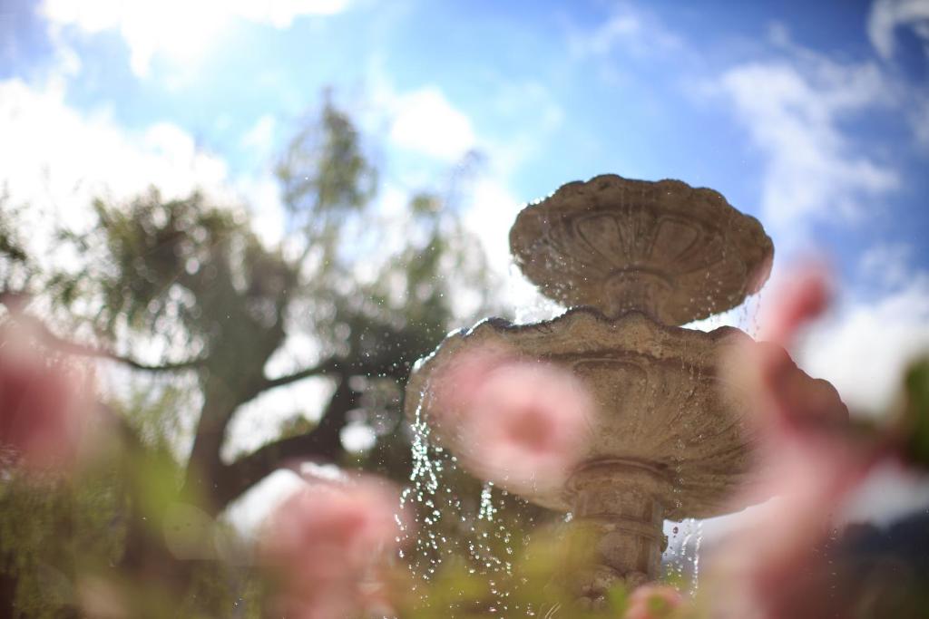 บริการและสิ่งอำนวยความสะดวก