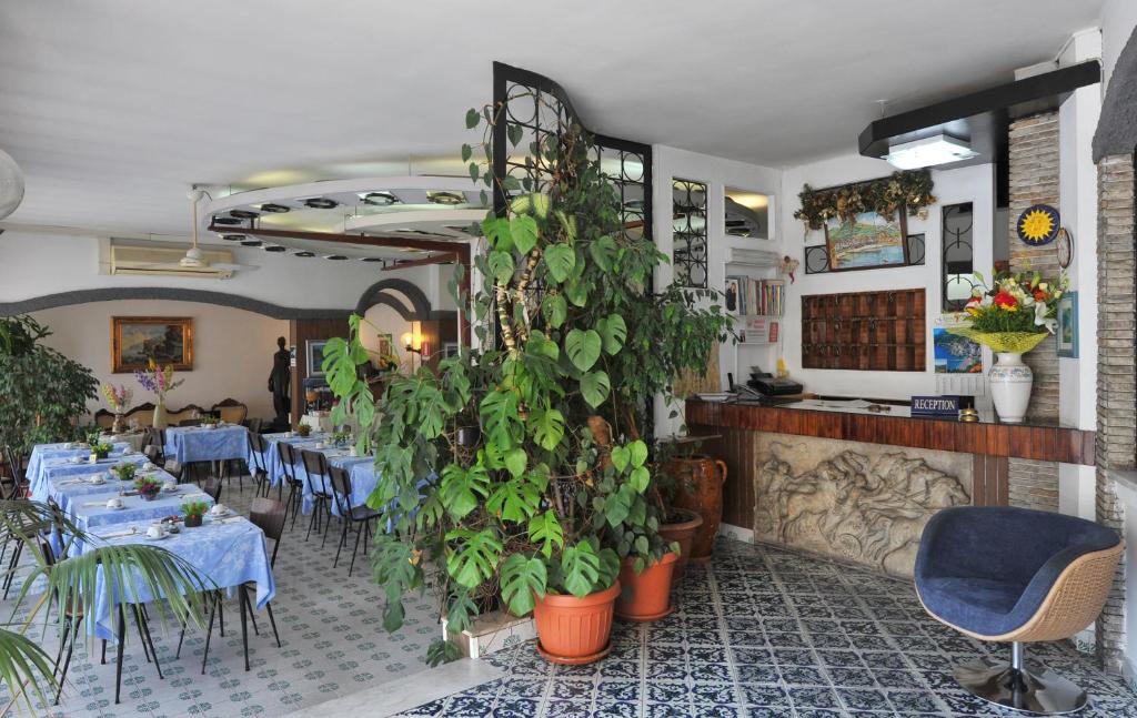 Hotel Europa photo