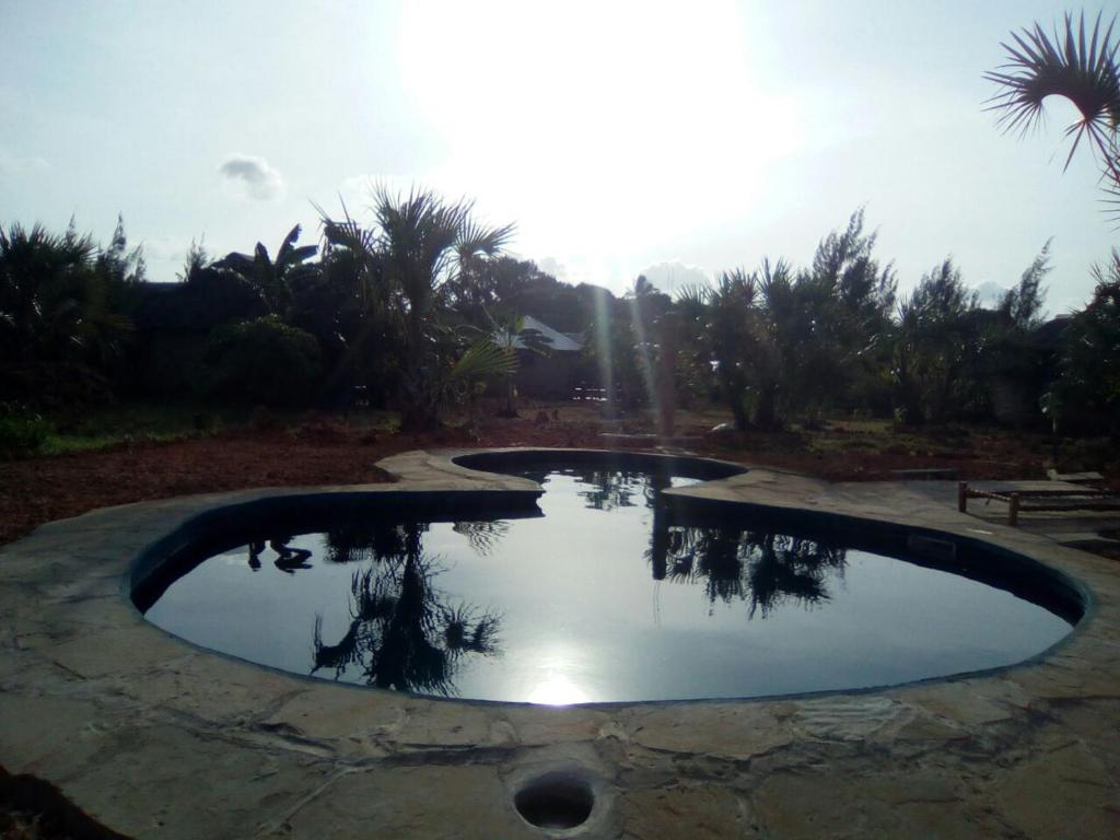 Swimming pool, Bahati Diani House Glamping in Mombasa