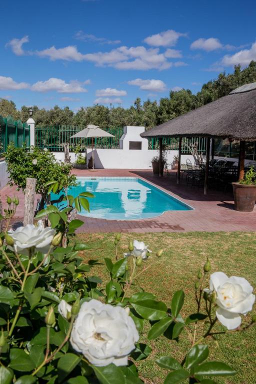 Olive Grove Guest Farm photo