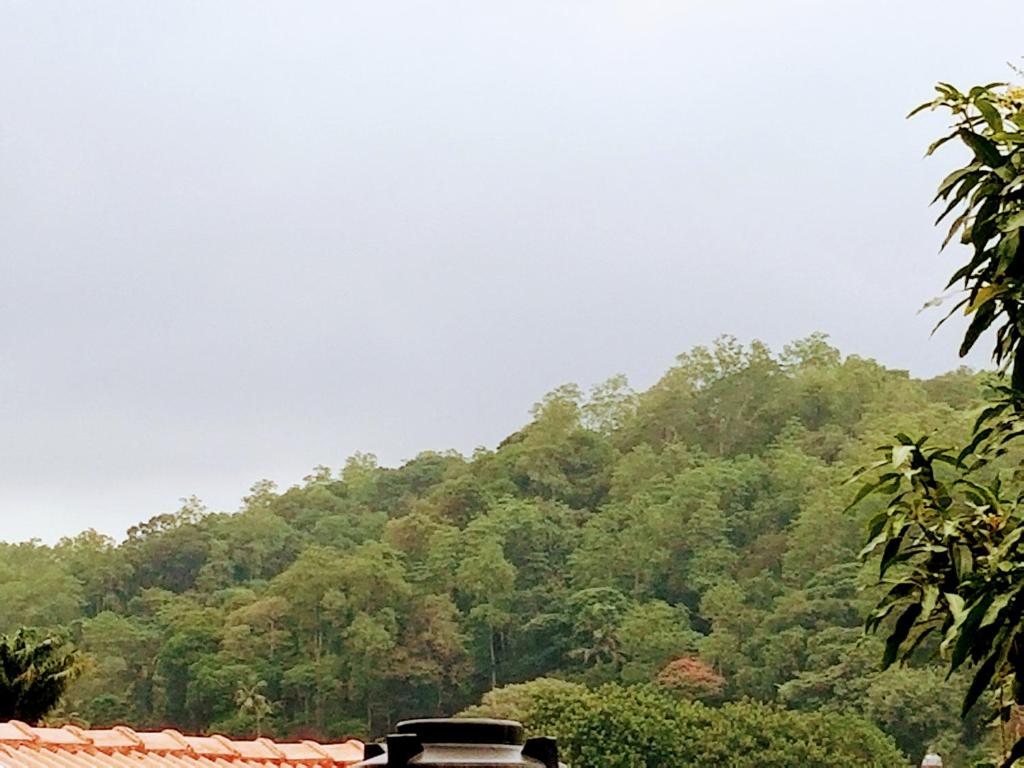 周辺案内