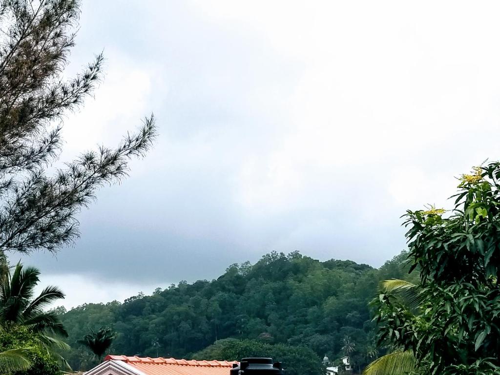 周辺案内