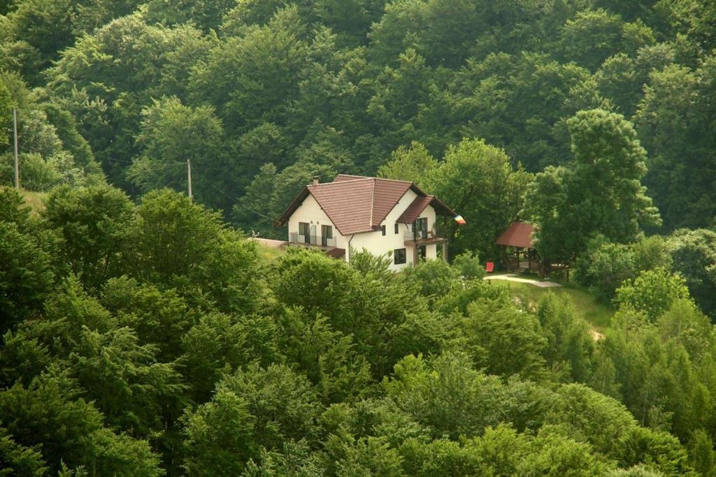Pensiunea 7 Brazi — Hotel in Poiana Marului (Brasov)