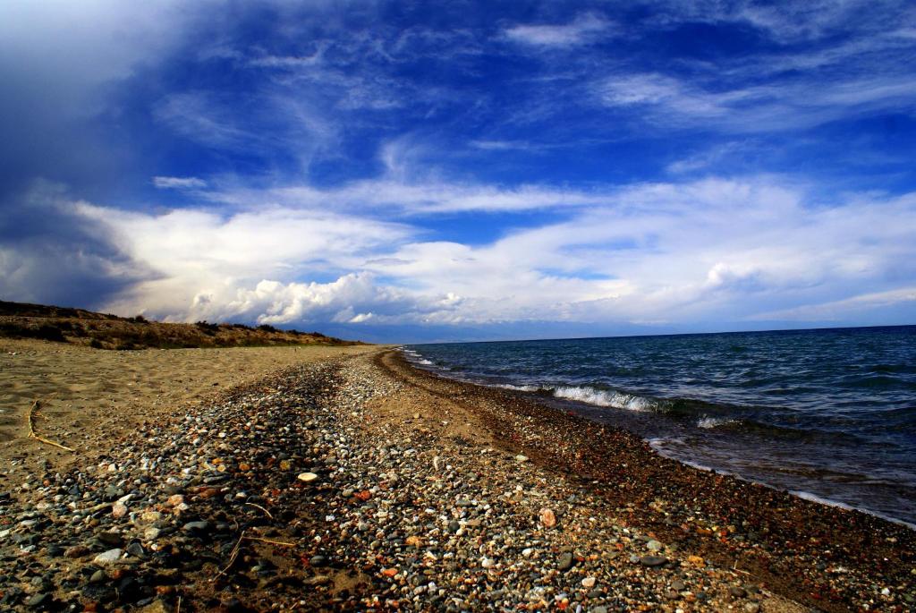 Guest house Ozernaya photo