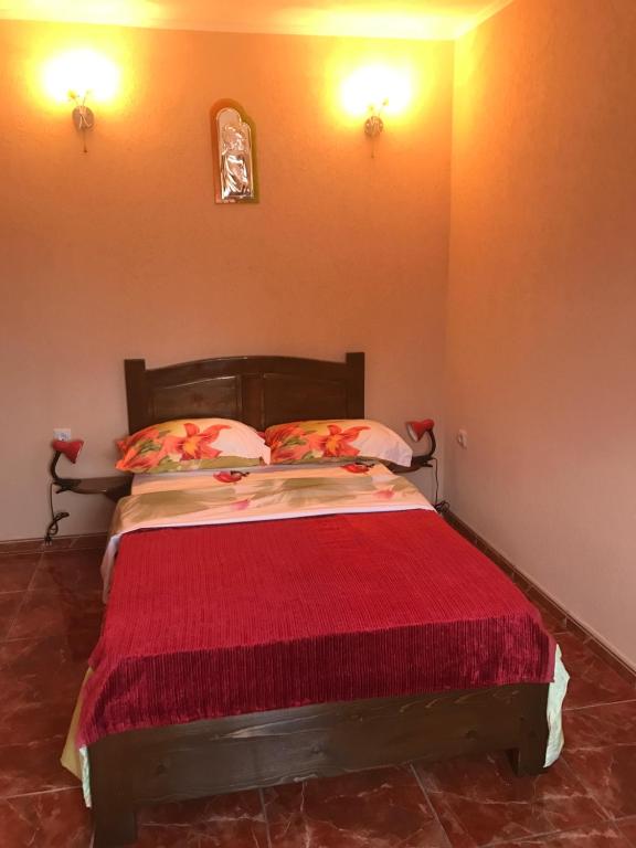 Vila La Izvor photo
