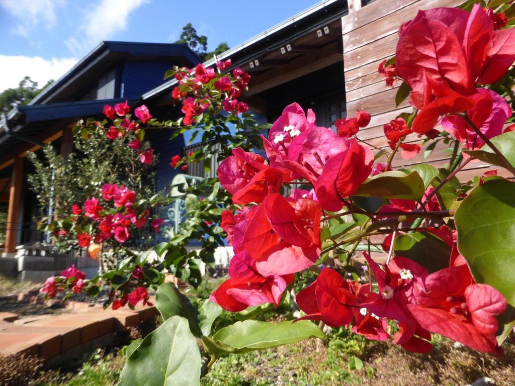 Pension Blue Drop — Hotel in Yakushima
