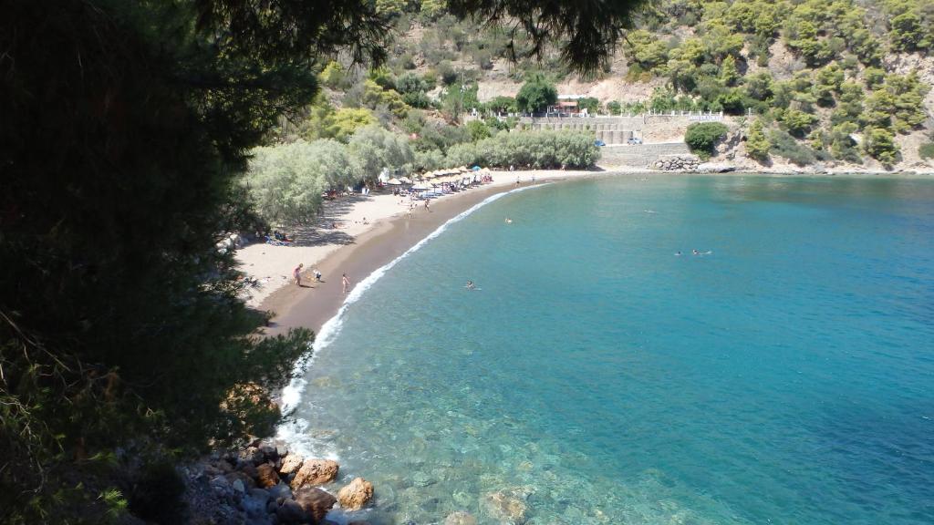 Stamatiou Dimitris photo