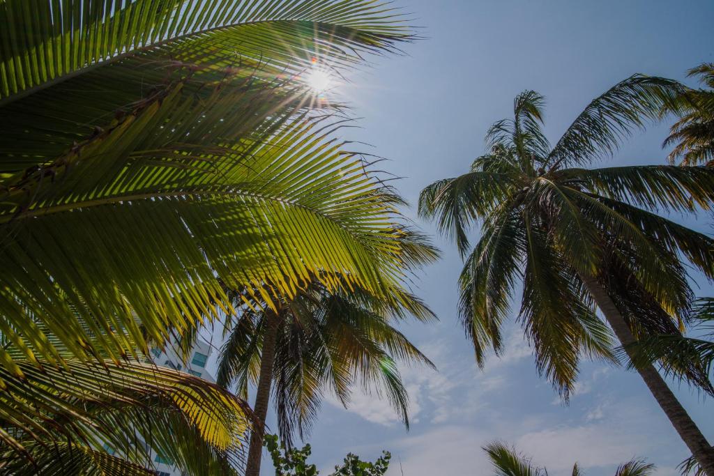 Surrounding environment