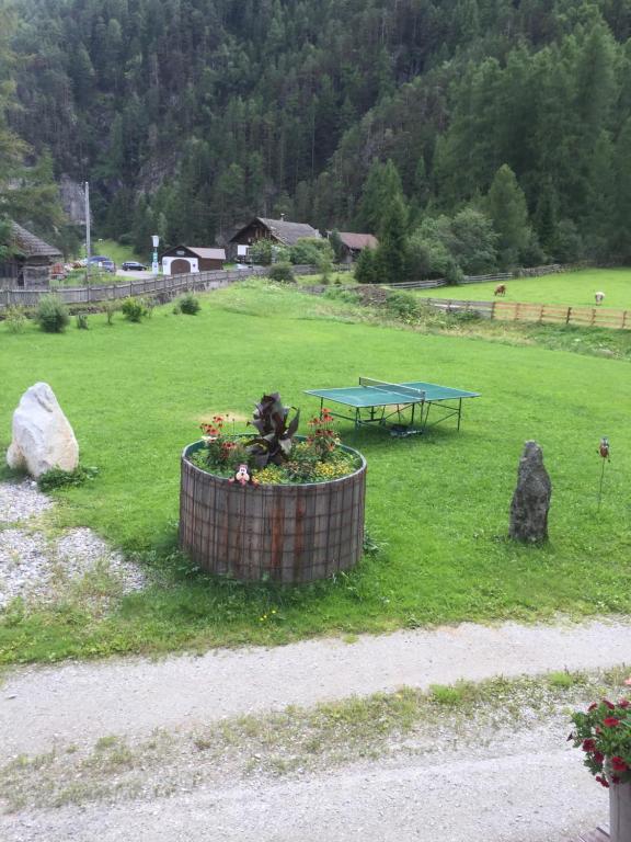 Haus Frieda - 5