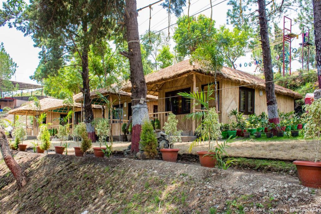 Nainital Adventure Park & Resort photo