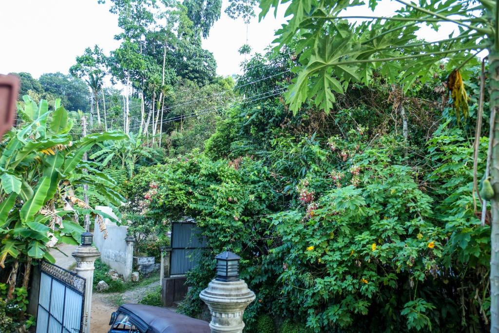 Surrounding environment