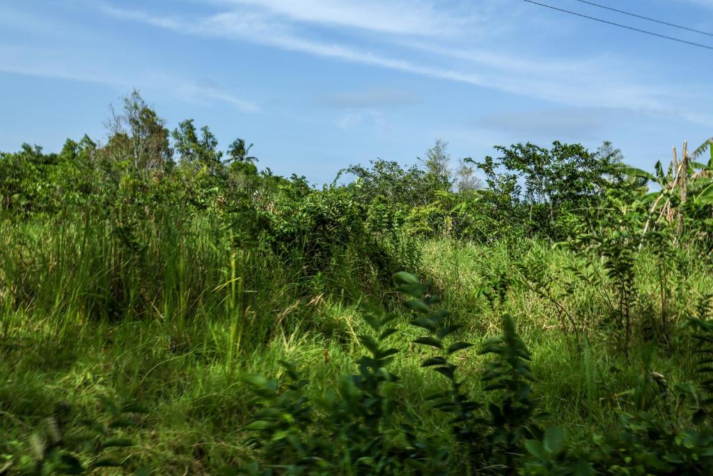 Surrounding environment