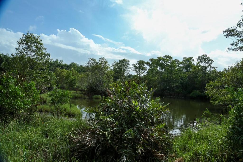 Surrounding environment