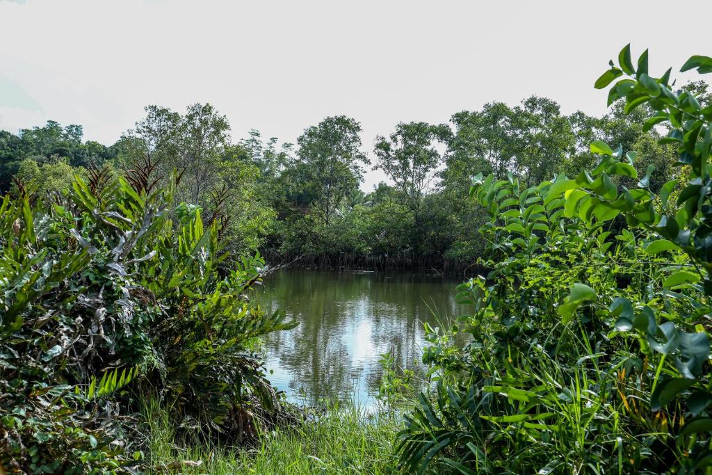 Surrounding environment