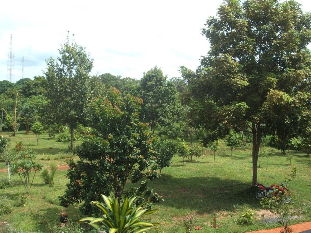 Surrounding environment