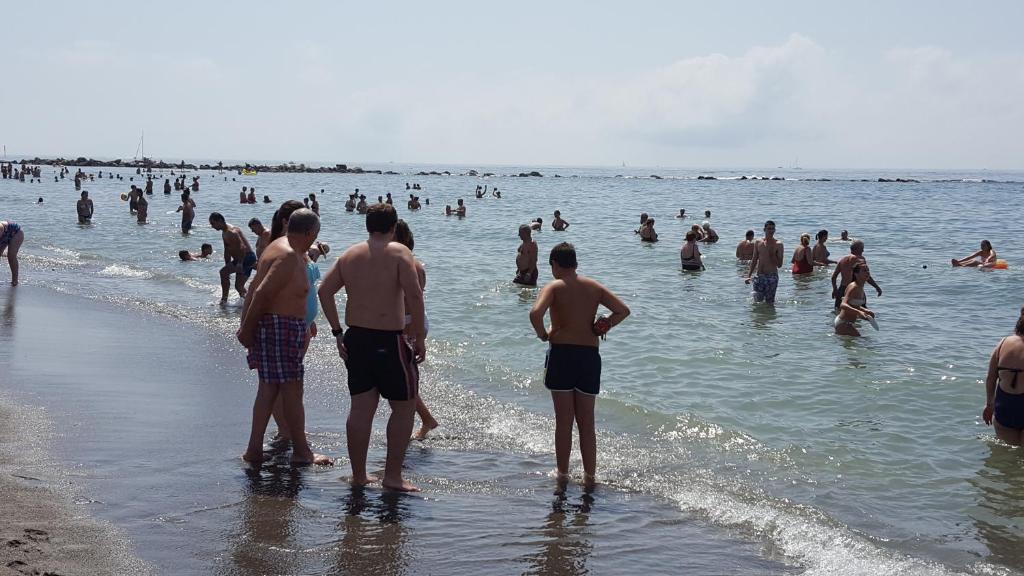 Bonanza Apartment Entire apartment (Benalmadena) Deals, Photos & Reviews