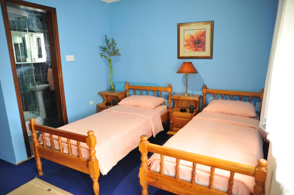 Guesthouse Prenociste Faraon photo