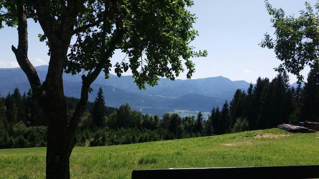 idyllischer Landhof Bär Nähe Millstättersee Ferienwohnung mit Balkon - 4