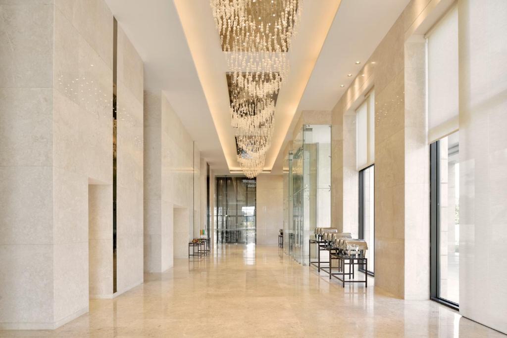 래디슨 블루 수영장