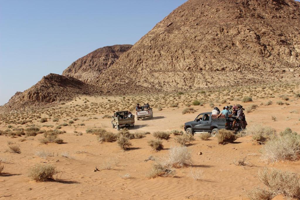 Surrounding environment