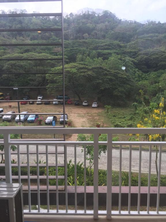 Surrounding environment