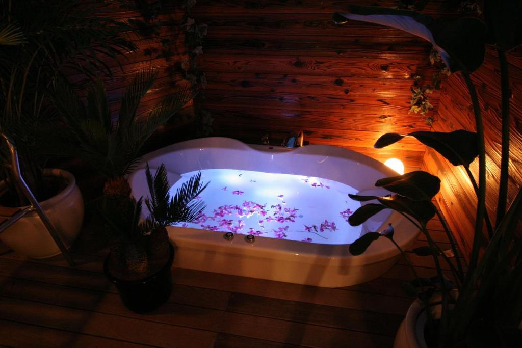 Hotel Rplus photo