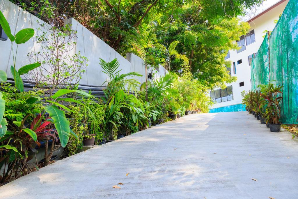 ทางเข้า