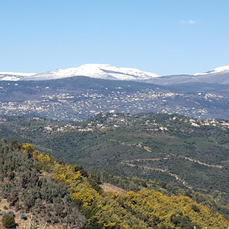 villa des oliviers - 4