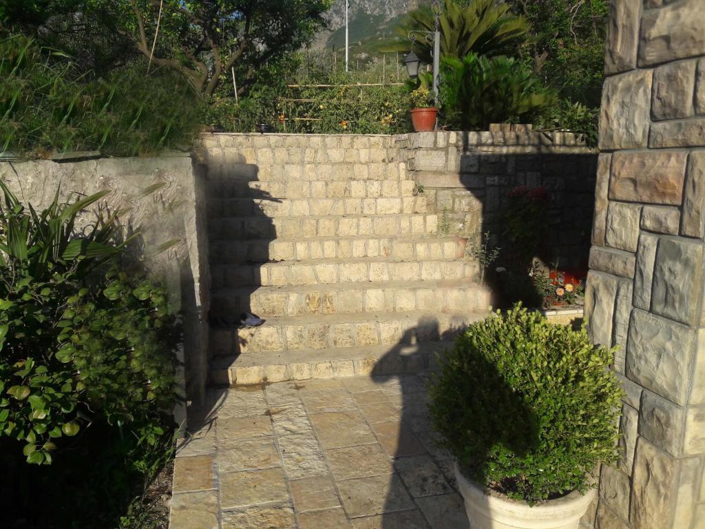 Apartments Mirovica photo