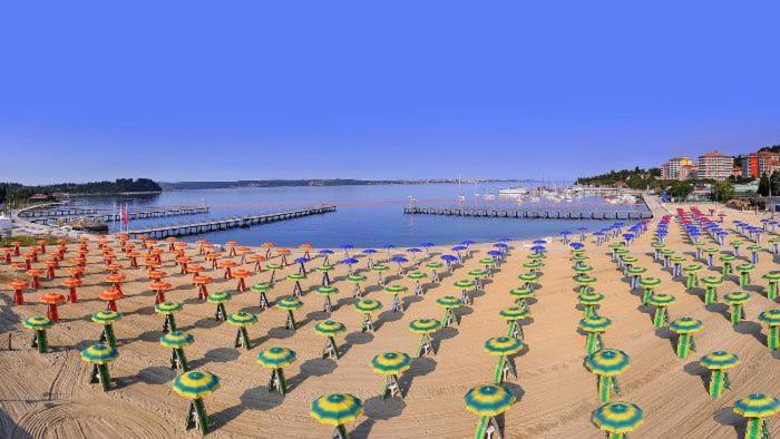 Floating Sea Houses MARINA LUX photo