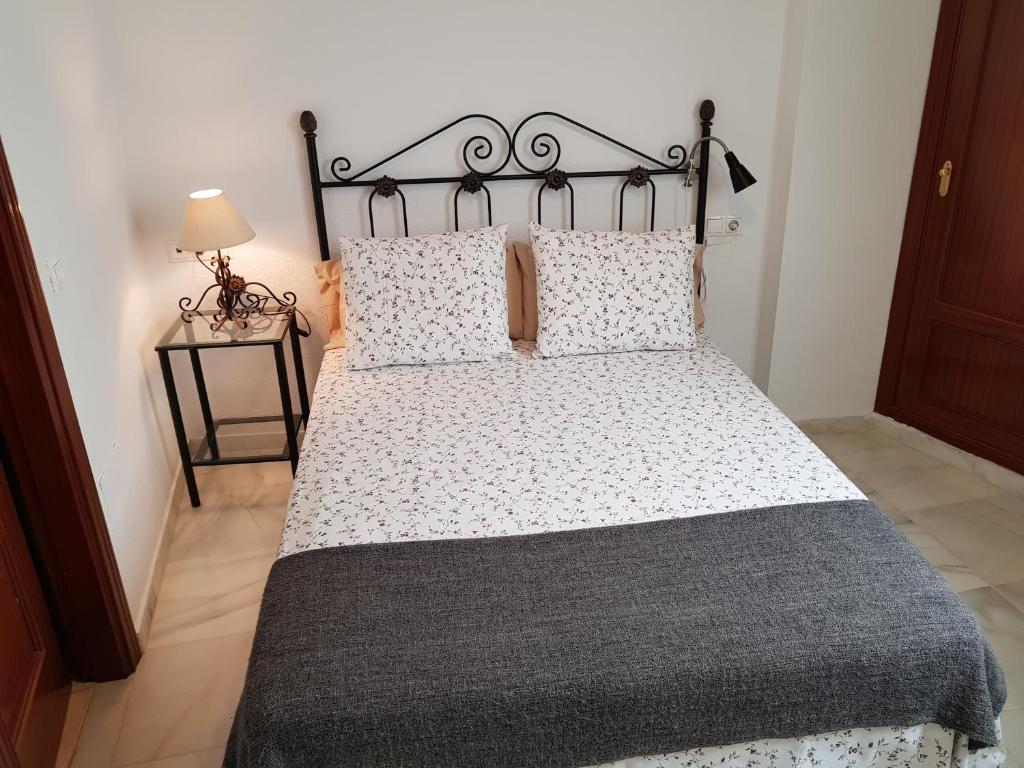 Fan Flat Rosaleda - 4
