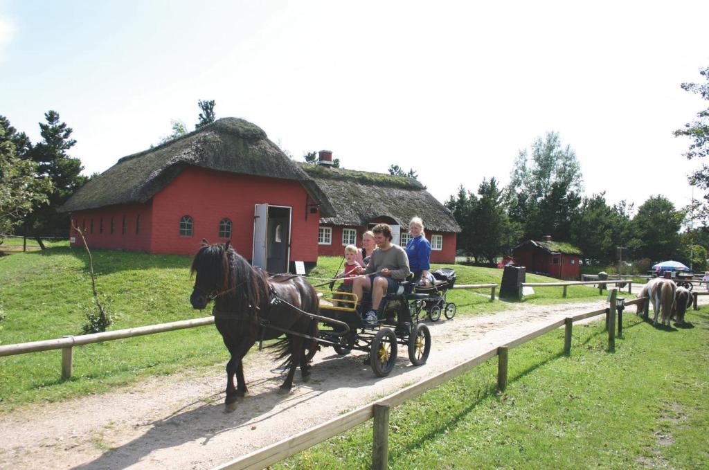Horseback riding