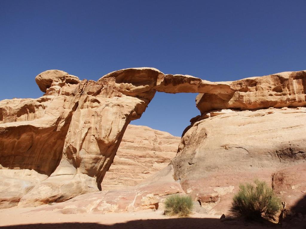 Surrounding environment