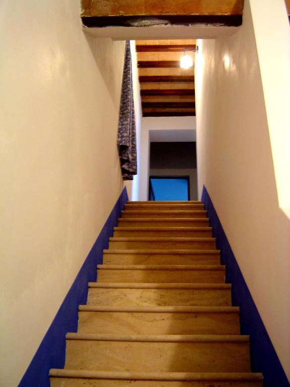 Linearis Holiday House photo