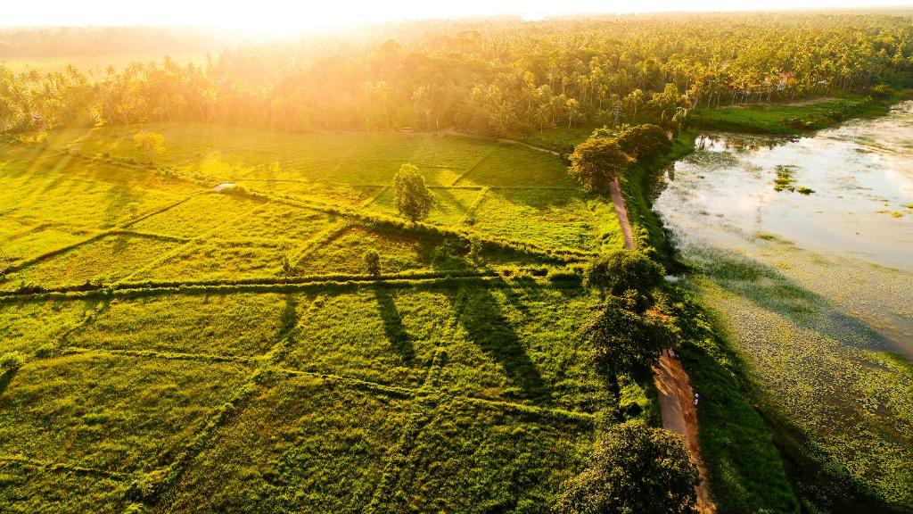 Surrounding environment