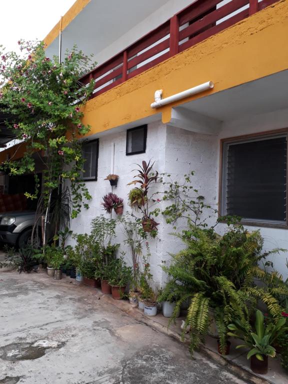 Casa Azul photo