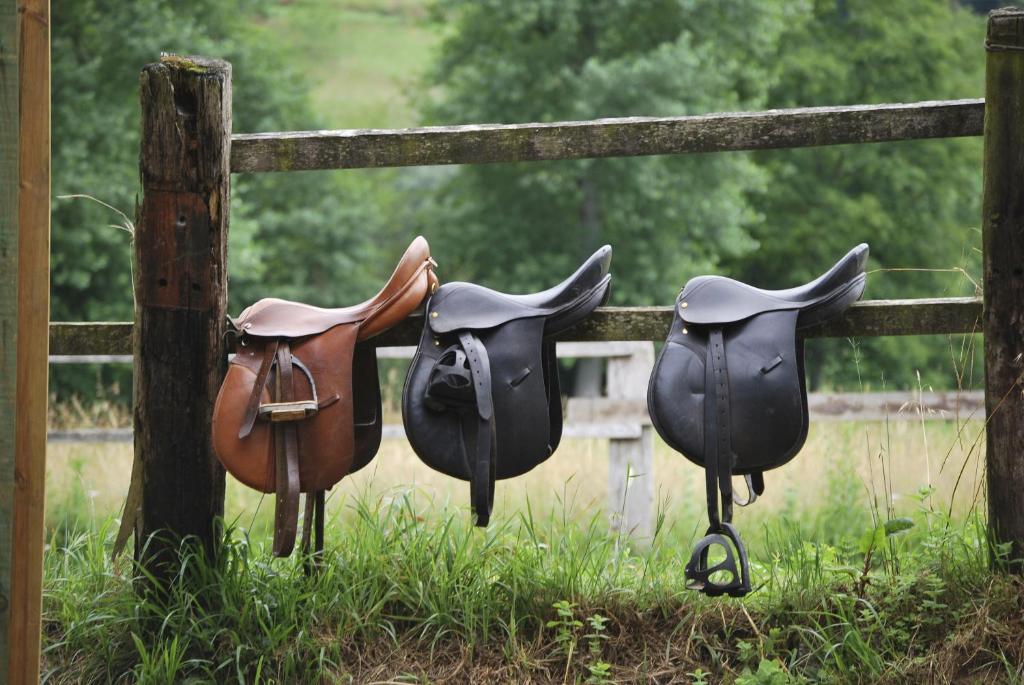 Horseback riding