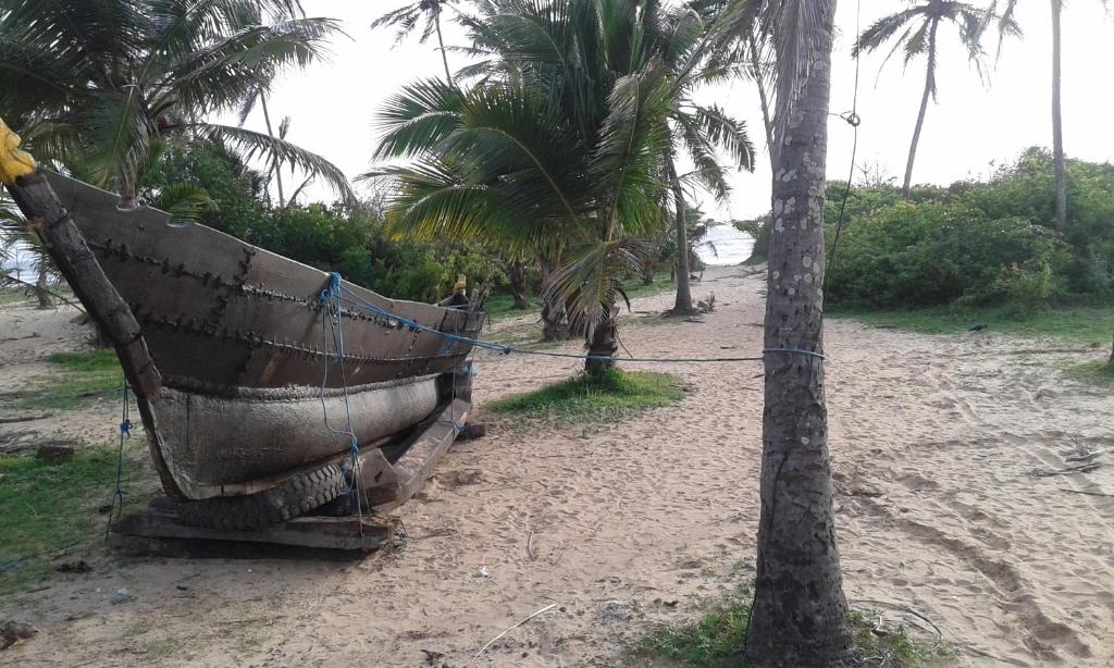 Surrounding environment