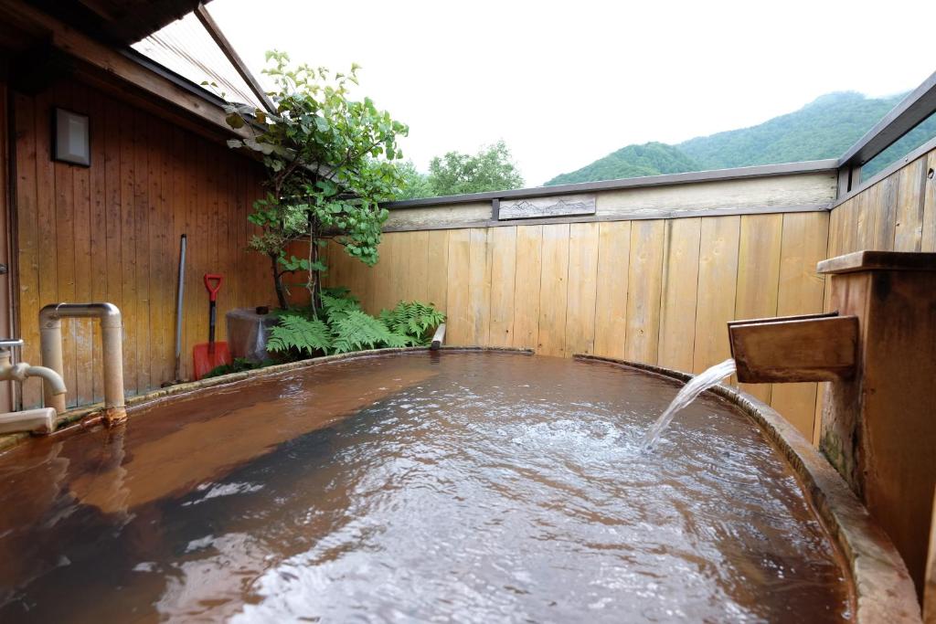 Hot spring bath