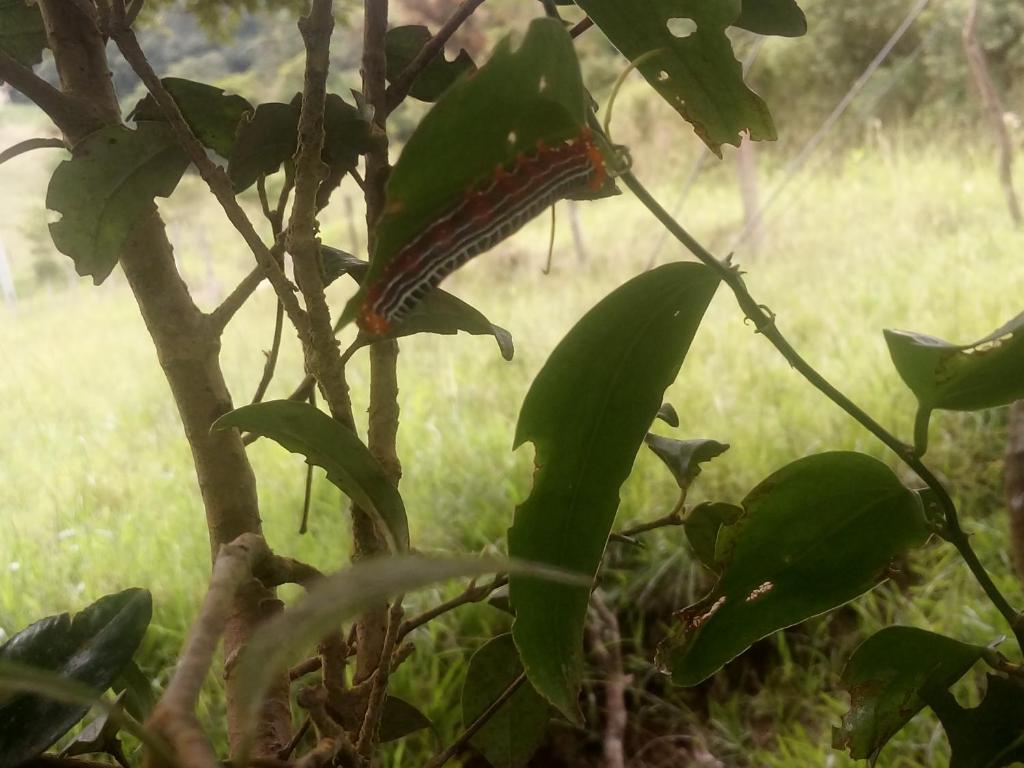 Surrounding environment