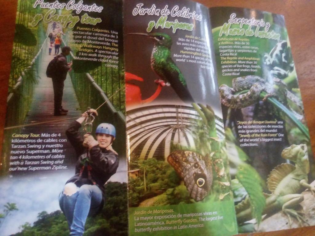 Sports and activities