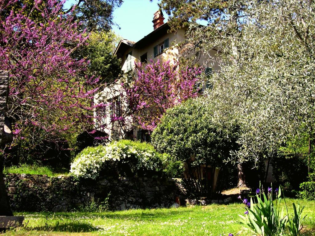 Domaine du Paraïs B&B - 5
