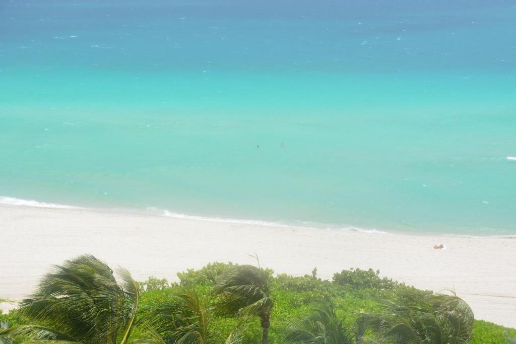 New Point Miami Beach Apartments photo