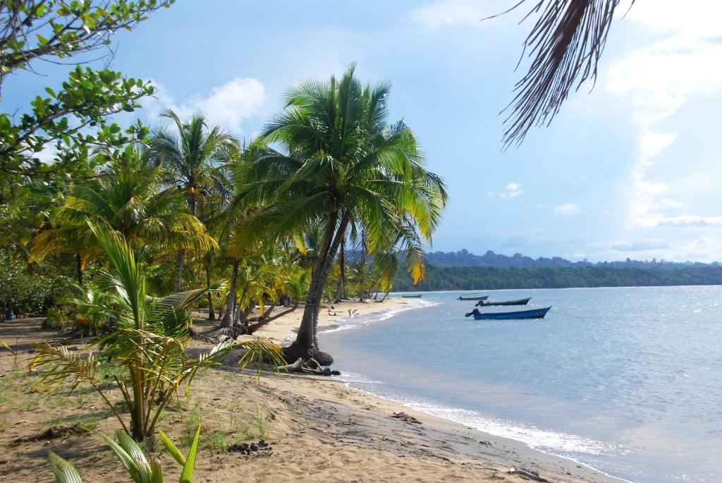 Hotel Pura Vida photo