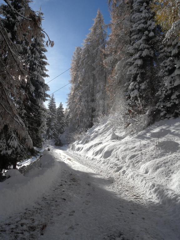 Surrounding environment